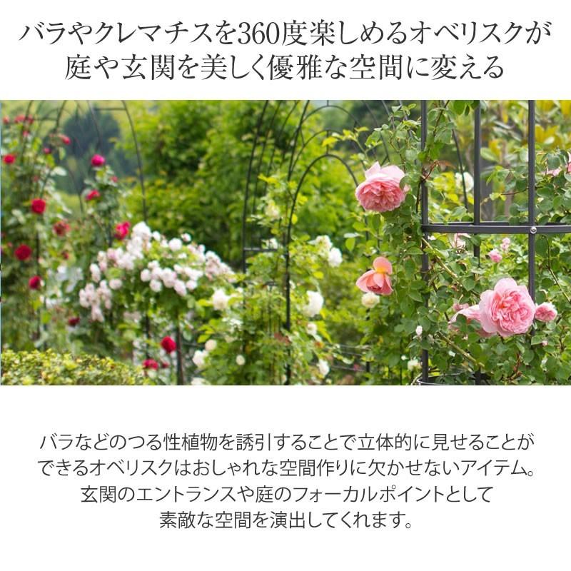 オベリスク バラ クレマチス 誘引 つる性 ガーデニング 庭 ベランダ バルコニー テラス タカショー プライムオベリスク A 青山ガーデン Paypayモール店 通販 Paypayモール