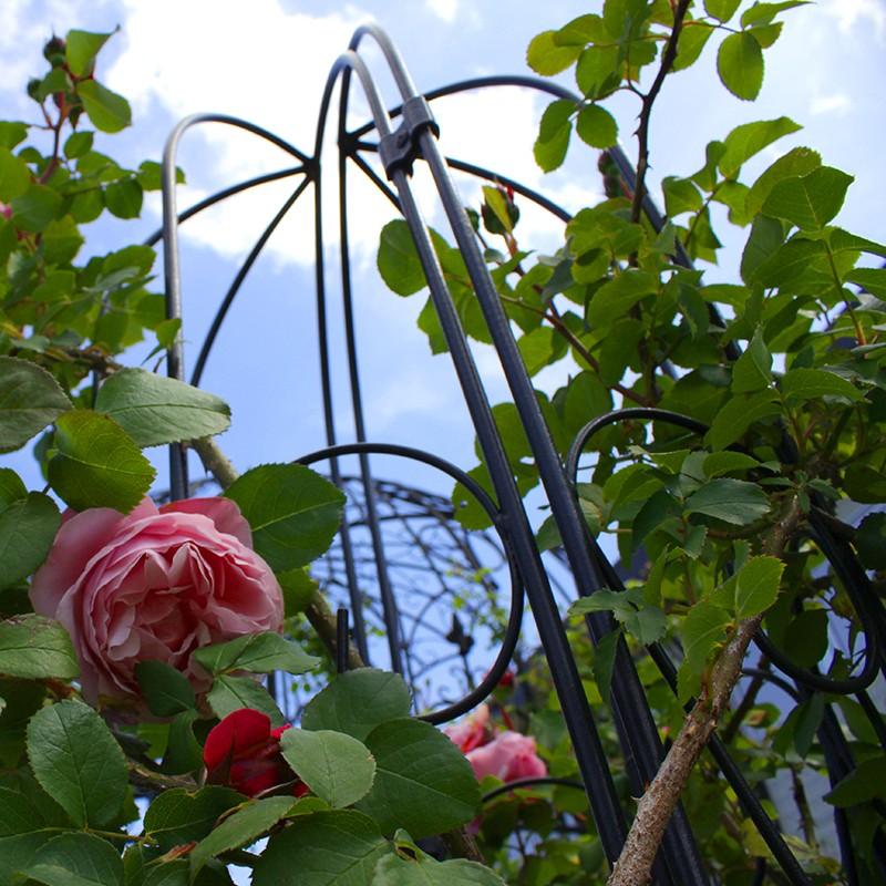 つるが トレリス アールトレリス S 4枚組セット C 青山ガーデン Paypayモール店 通販 Paypayモール フェンス 半円 バラ クレマチス 誘引 つる性 目隠し 目かくし おしゃれ タカショー グトレリス Www Blaskogabyggd Is