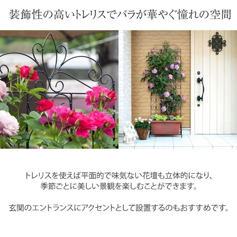 タカショー トレリス フェンス バラ クレマチス 誘引 つる性 目隠し 目