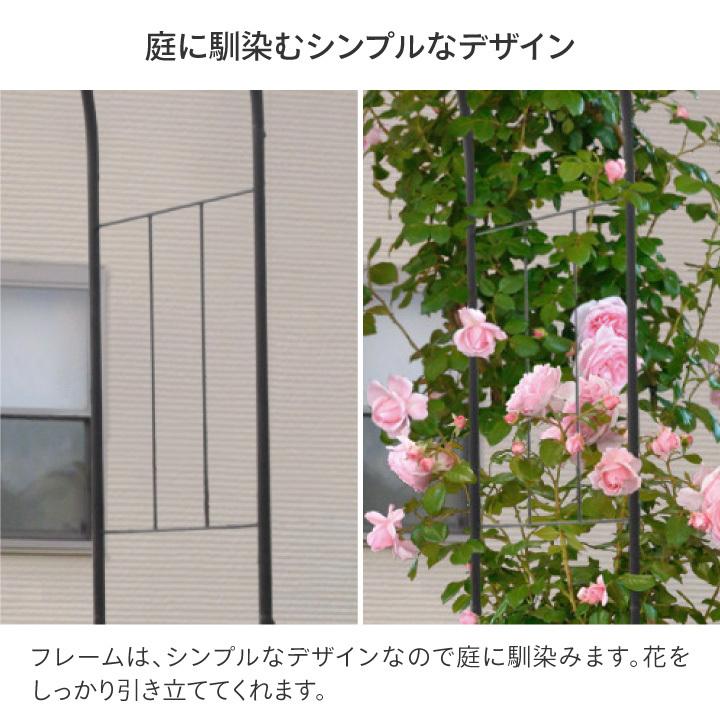 タカショー アーチ バラ クレマチス 誘引 つる性 ガーデニング 庭