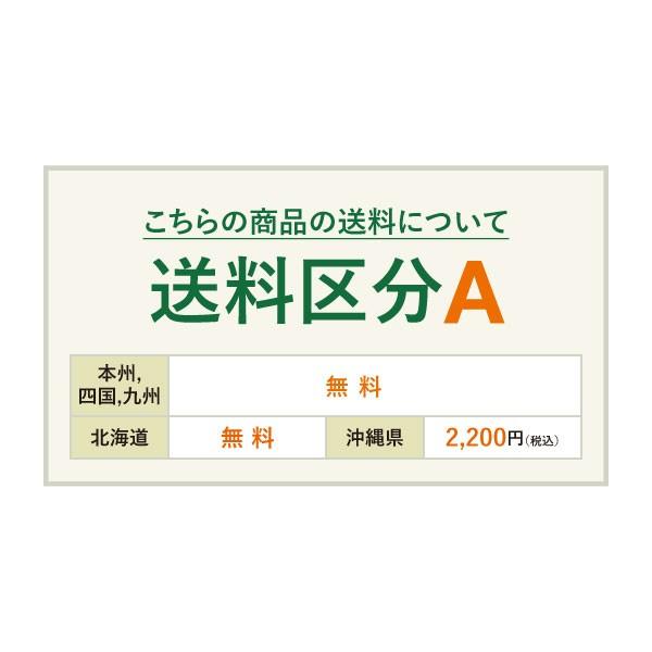 オベリスク バラ クレマチス 誘引 つる性 ガーデニング 庭 ベランダ バルコニー テラス タカショー / オベリスク /A|青山ガーデン PayPayモール店|02