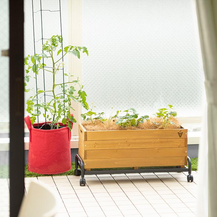 タカショー プランター スタンド 植木 ストッパー付 キャスター タカショー プランター スタンド 植木 ストッパー付 キャスター