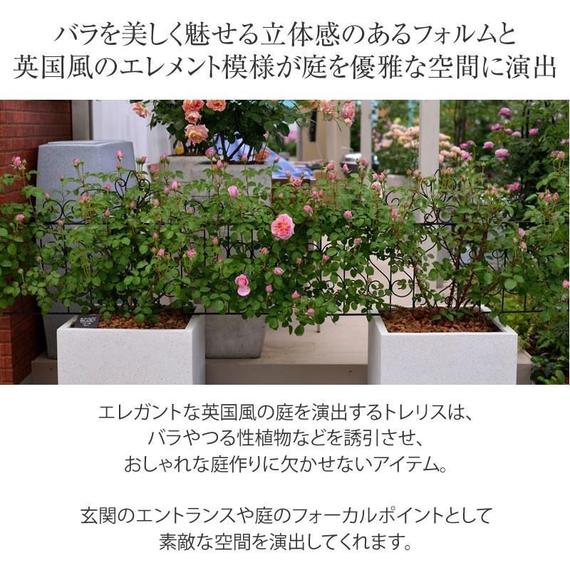 新品 デザイントレリス ガーデニング用品 garden_36442800