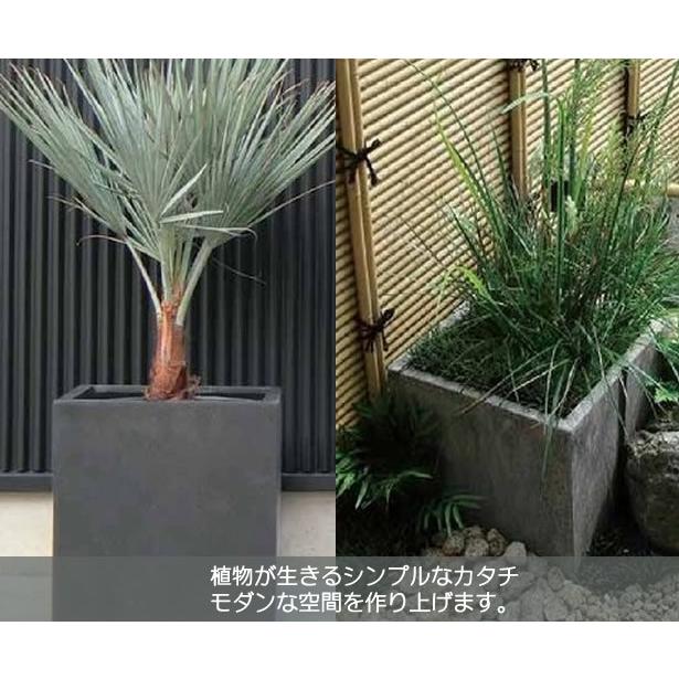 タカショー Gaveria 鉢 プランター ポット 大型 ガーデニング 店舗 施設 / ワイドポット ファストーソ 大 グレー /小型の画像