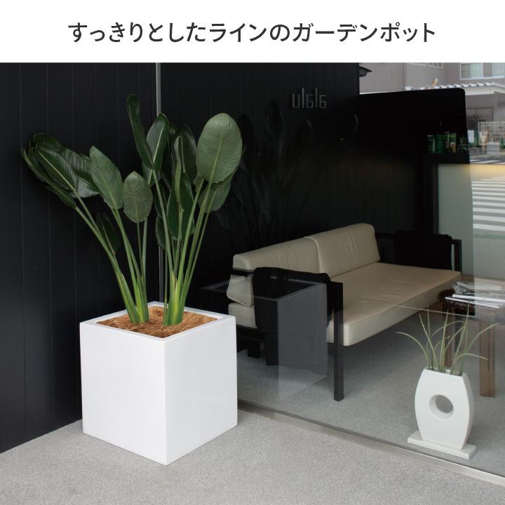 タカショー Gaveria 鉢 プランター ポット ガーデニング 店舗 施設 菜園 寄せ植え / キューブポット エカール 小 ホワイト /小型の画像
