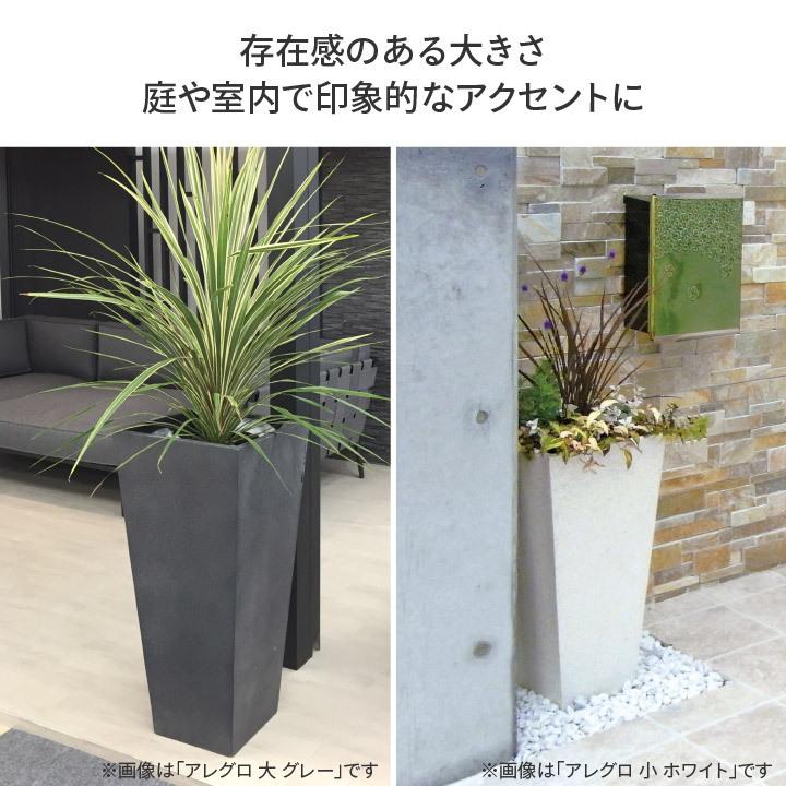 タカショー Gaveria 鉢 プランター ポット 大型 ガーデニング 店舗 施設 / ロングポット アレグロ 大 ホワイト /中型の画像