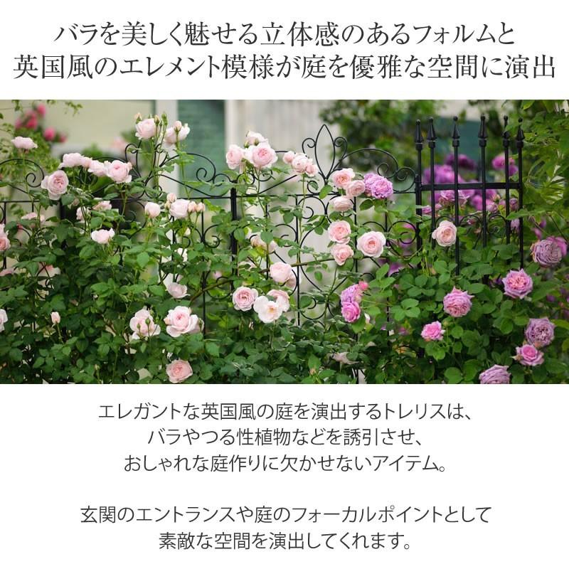 トレリス フェンス バラ クレマチス 誘引 つる性 目隠し 目かくし おしゃれ タカショー ラウンドトレリストールセットｎ D 青山ガーデン Paypayモール店 通販 Paypayモール