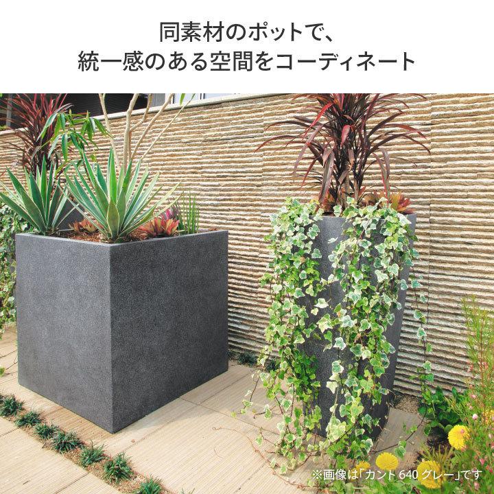 タカショー Gaveria 鉢 プランター ポット 大型 店舗 施設 / キューブポット カント 450 ムーングレー /中型の画像
