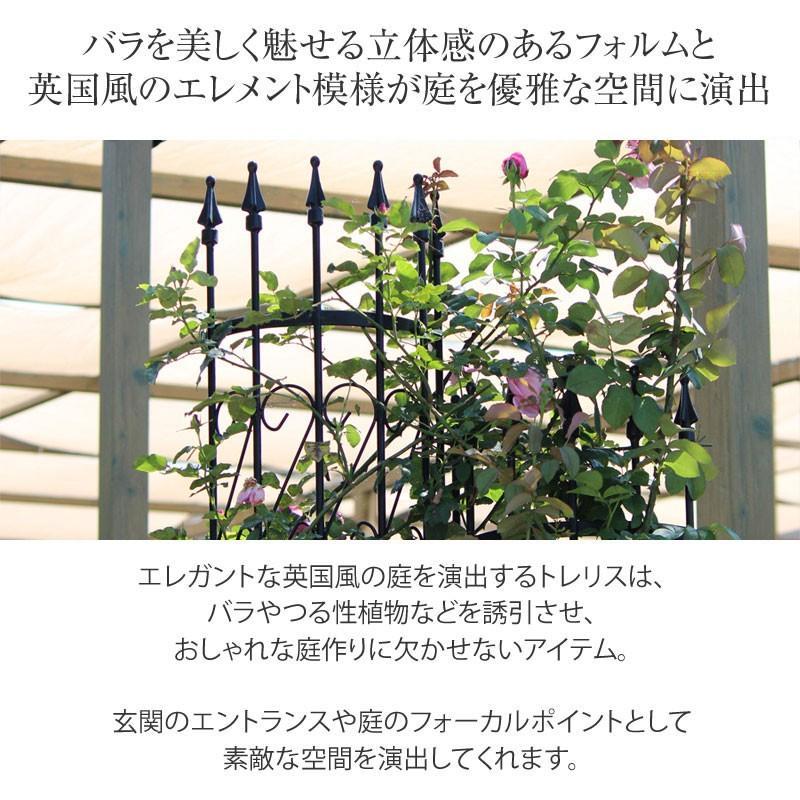 トレリス フェンス 半円 バラ クレマチス 誘引 つる性 目隠し 目かくし おしゃれ タカショー / ラウンドトレリスＳ 2枚組 /C 