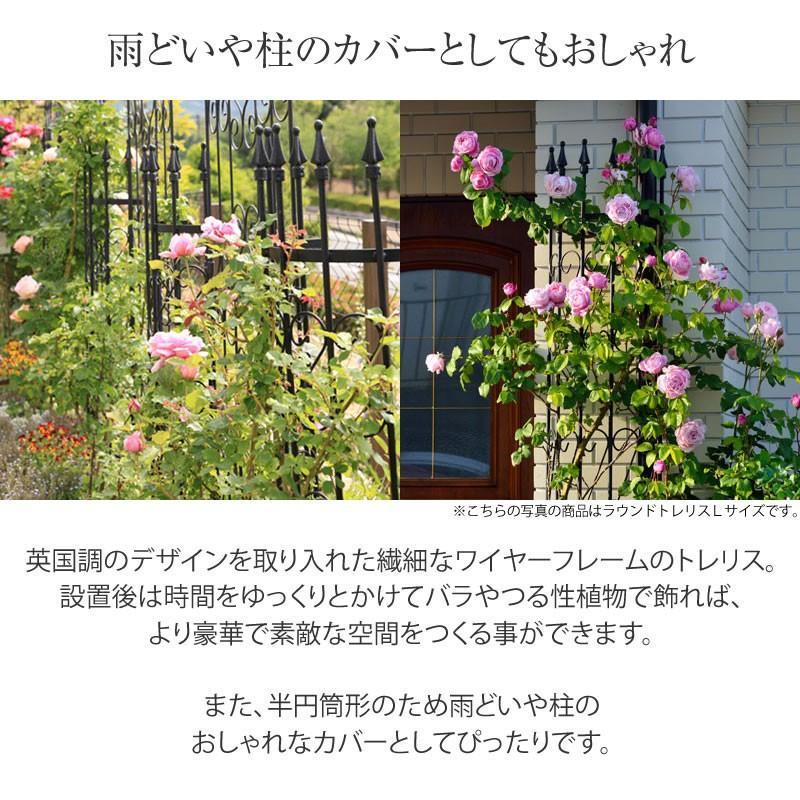 トレリス フェンス 半円 バラ クレマチス 誘引 つる性 目隠し 目かくし おしゃれ タカショー / ラウンドトレリスＳ 2枚組 /C 
