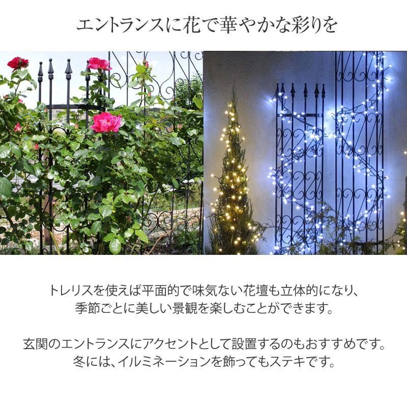 トレリス フェンス 半円 バラ クレマチス 誘引 つる性 目隠し 目かくし おしゃれ タカショー / ラウンドトレリスＳ 2枚組 /C 