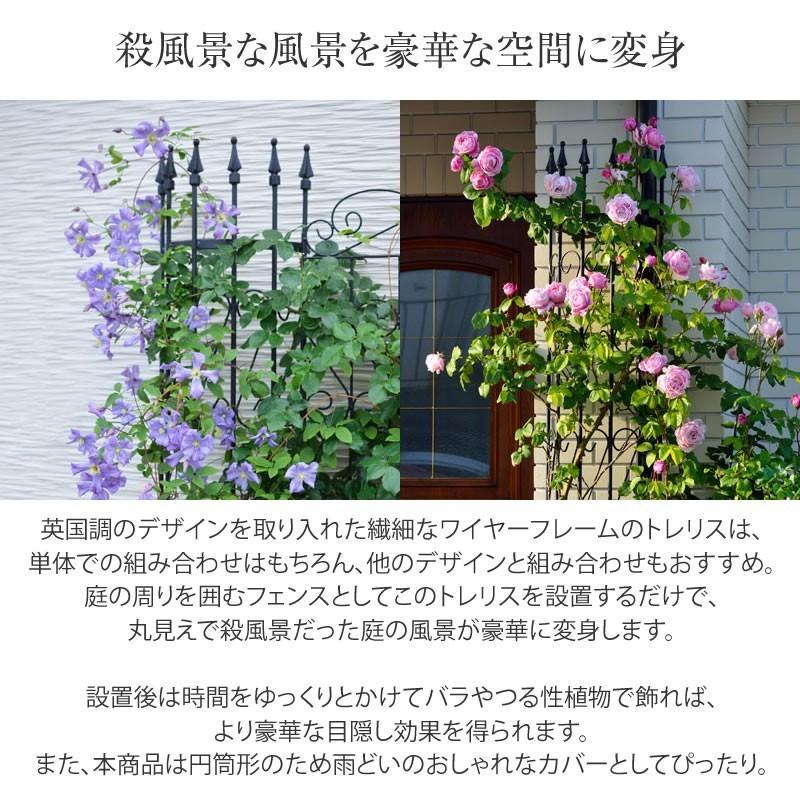 タカショー トレリス フェンス 半円 バラ クレマチス 誘引 つる性