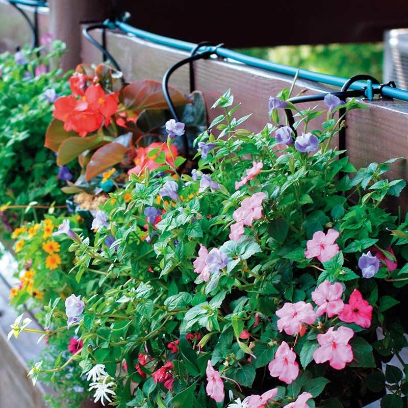 72時間限定タイムセール 水やり 自動 水遣り 散水 お庭 家庭菜園 ガーデン 業務用 タカショー 庭玄 にわくろ ウォーター A 青山ガーデン Paypayモール店 通販 Paypayモール 還元祭 Www Skylanceronline Com