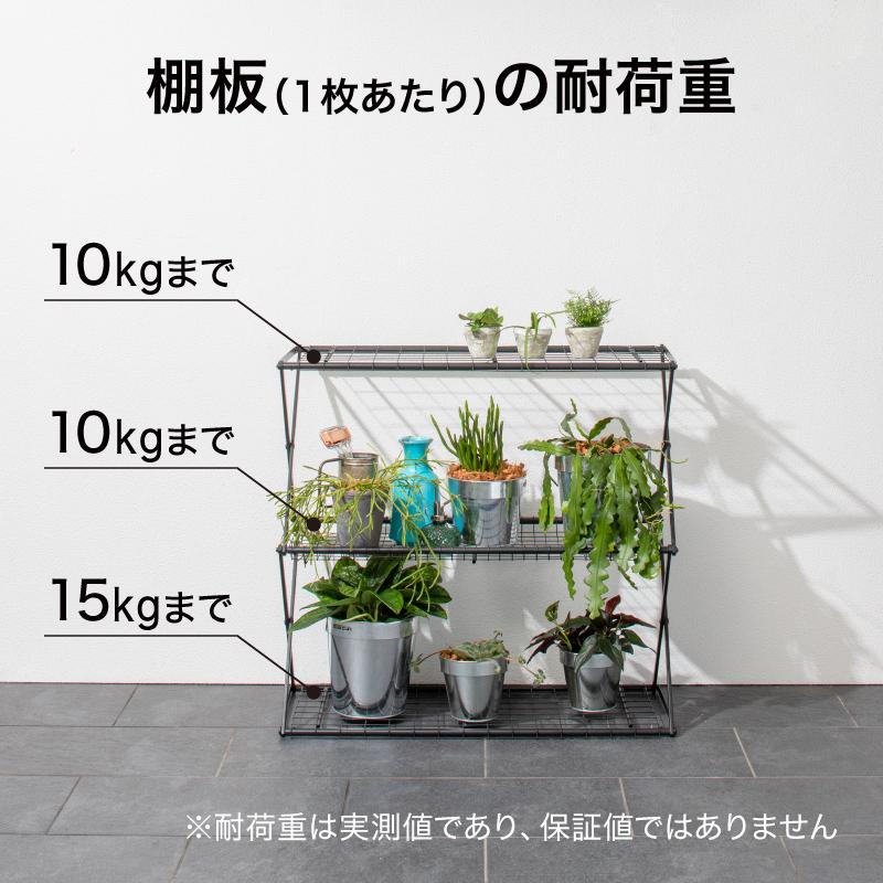 タカショー ビニール温室 ビニールハウス 育苗 寒冷 霜 菜園 パンタグ