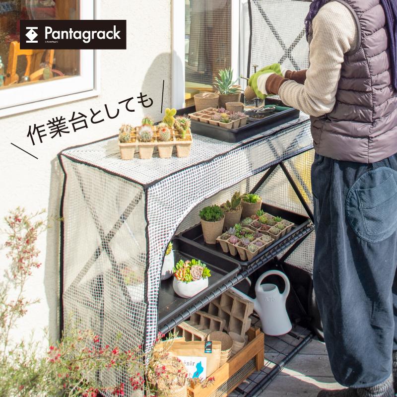 タカショー 爆買 ビニール温室 ビニールハウス 育苗 寒冷 霜 菜園 パン