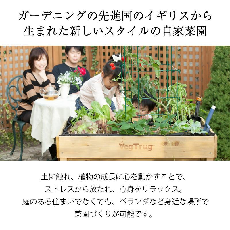 タカショー 鉢 プランター ベジトラグ 菜園 スタンド 木製