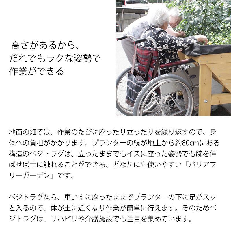 タカショー 鉢 プランター ベジトラグ 菜園 スタンド 木製 ガーデニング / ホームベジトラグ　S /中型_3