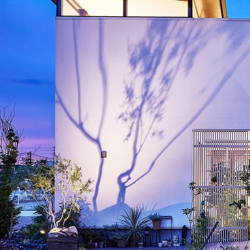 タカショー 爆買 ライト LED 屋外 ローボルト 明るい LEDIUS HOME 木