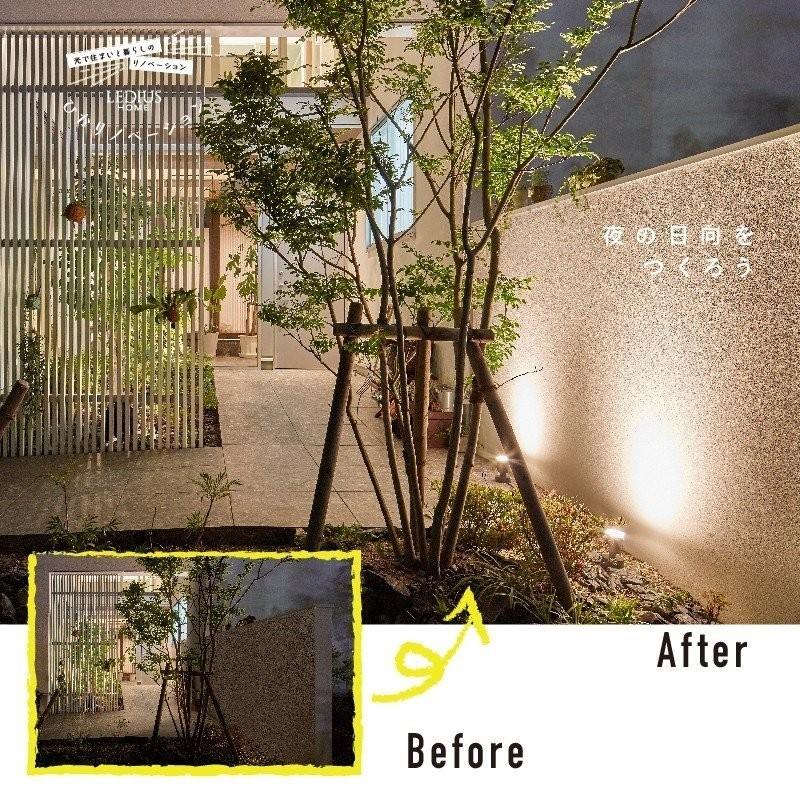 タカショー ライト LED 屋外 ローボルト 照明 明るい LEDIUS HOME 壁