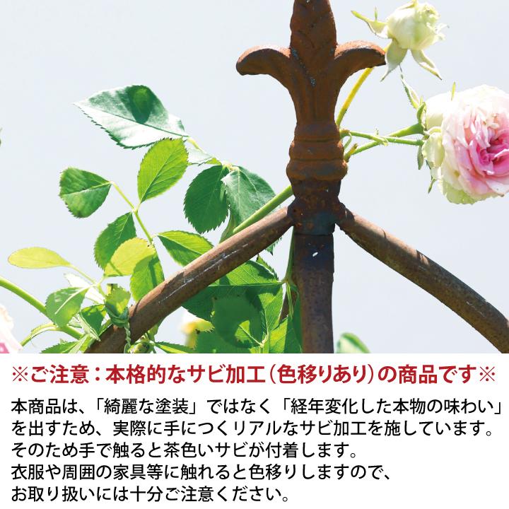 爆買 タカショー オベリスク 誘引 バラ ガーデニング GARDEN STORY