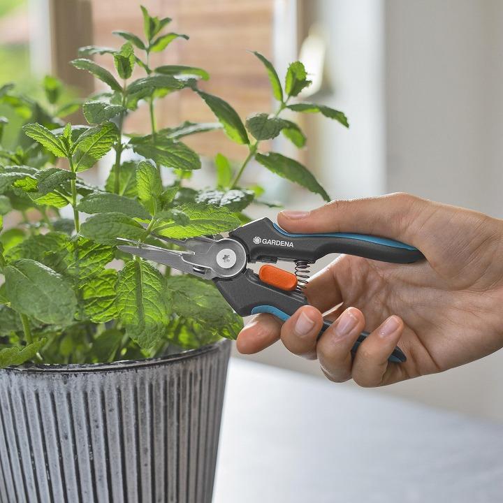 タカショー GARDENA はさみ 鋏 摘果 剪定 枝 ガルデナ / 摘果芽切収穫