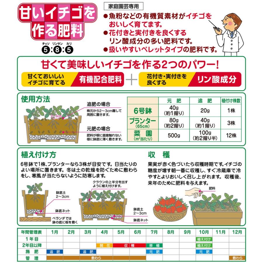 肥料 いちご 菜園 ガーデニング 園芸 甘いイチゴを作る肥料 2kg A 青山ガーデン Paypayモール店 通販 Paypayモール