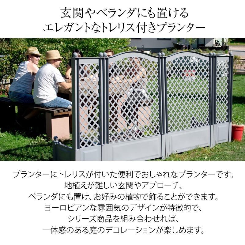 タカショー ラティス トレリス 仕切り プランター バラ クレマチス