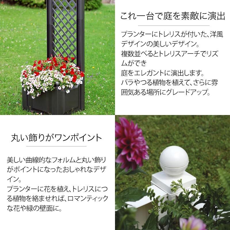 タカショー ラティス トレリス 仕切り プランター バラ クレマチス