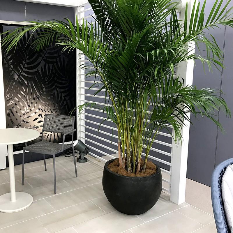 タカショー Gaveria 鉢 プランター ポット 大型 ガーデニング 店舗