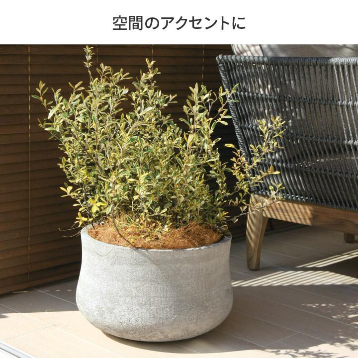 タカショー Gaveria 鉢 プランター ポット 大型 ガーデニング 店舗 施設 / アンターム 大 グレー ブラウン /小型の画像