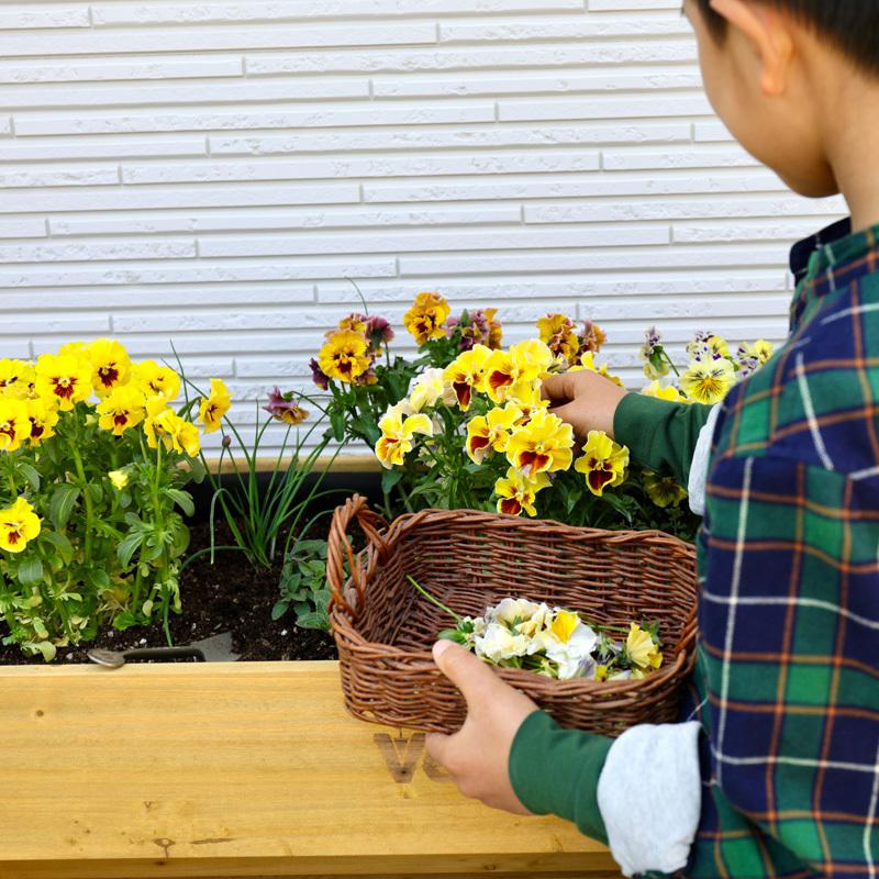 プランター新品！大型！限定１台です！　タカショー　ベジトラグ Amazon | タカショー プランター ベジトラグ ポピーGO グリーン 土容量