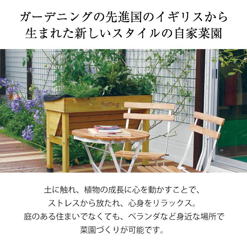 タカショー 鉢 プランター ベジトラグ ガーデニング / ホームベジト
