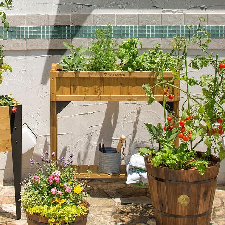 タカショー 鉢 プランター ベジトラグ 菜園 スタンド 木製