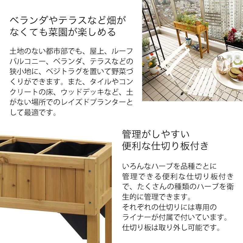タカショー 鉢 プランター ベジトラグ 菜園 スタンド 木製 ガーデニング / レイズドベッド ハーブプランター スリム ナチュラル グレイウォッシュ /小型_5