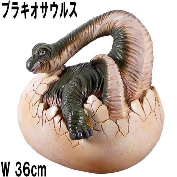 孵化 するブラキオサウルス 恐竜 赤ちゃん 誕生 卵 たまご タマゴ 置物