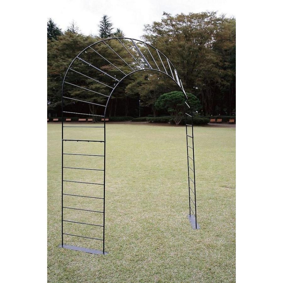 ピーコックアーチ 36455 アイアン フラワーアーチ 組立式 イルミネーション パーゴラ ガーデンアーチ ローズアーチ 頑丈 おしゃれ 丈夫 園芸 ガーデニング 庭園