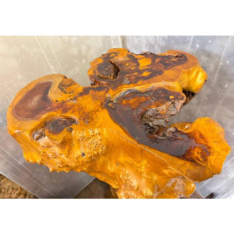 花台 華台 天然木 流木 飾り台 置物 オブジェ　インテリア　コレクション 送料無料 自然木 飾り台 展示品 オブジェ H123cm 古民家 置物
