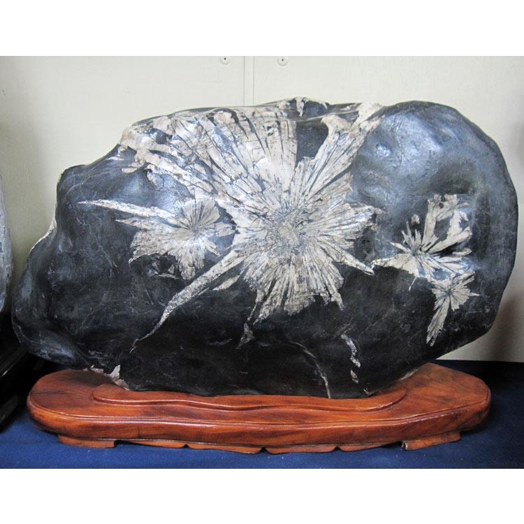 天然石 鑑賞石 置物 台付き 自然石 開運 水石 パワーストーン (中) 天然石 鑑賞石 置物 台付き 自然石 開運 水石 パワーストーン