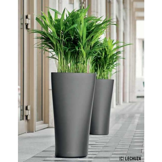 楽天市場】レチューザ 鉢の通販 値下げ⭐︎新品⭐︎Lechuza レチューザ