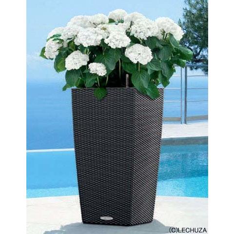 訳アリ) LECHUZAレチューザ コテージ・トリオ30ドイツ製プランター