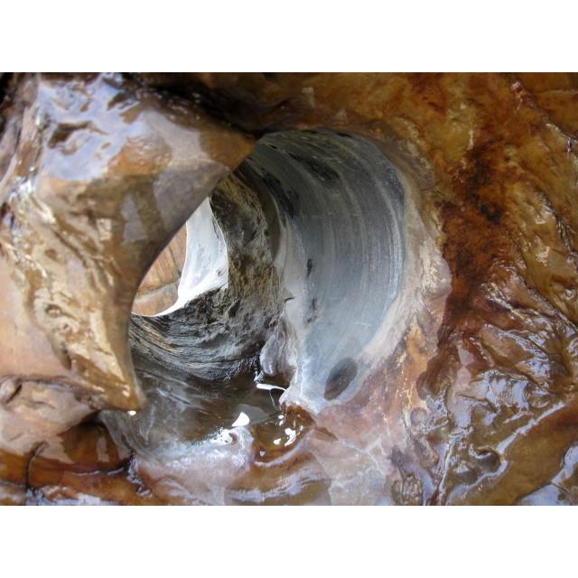 木化石 庭石 珪化木 道標 031 景石 天然石 飾り石 和風 庭園