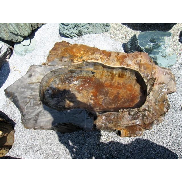 つくばい 手水鉢 水鉢 大きい 木化石 珪化木 巨大 特大 大型 豪華 庭石