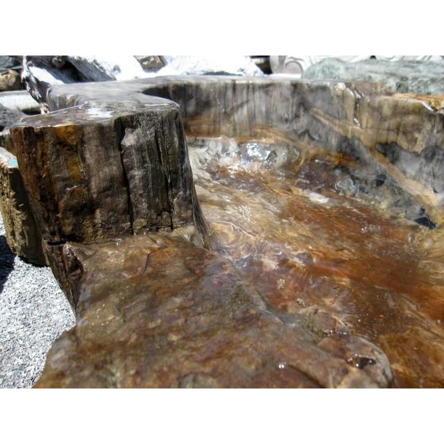 つくばい 手水鉢 水鉢 大きい 木化石 珪化木 巨大 特大 大型 豪華 庭石