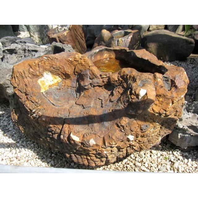 つくばい 珪化木 木化石 手水鉢 水鉢 大きい 庭石 天然石 溜まり石 木