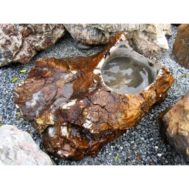 つくばい 珪化木 木化石 水鉢 手水鉢 大きい 庭石 天然石 溜まり石 木