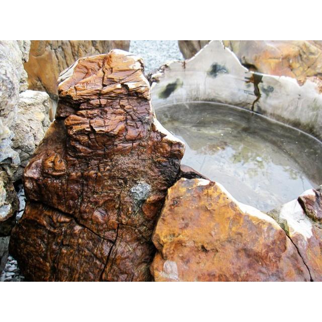 手水鉢 つくばい 木化石 水鉢 溜まり石 庭石 珪化木 飾り石 天然石