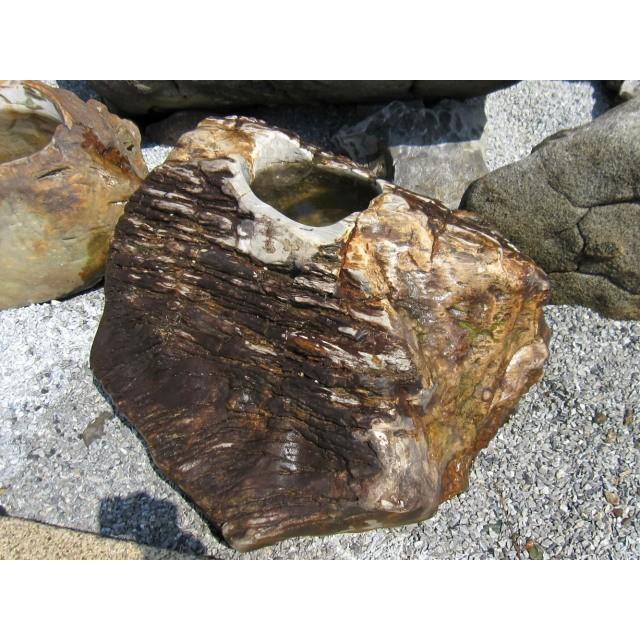 つくばい 木化石 珪化木 手水鉢 水鉢 大きい 庭石 天然石 溜まり石 木