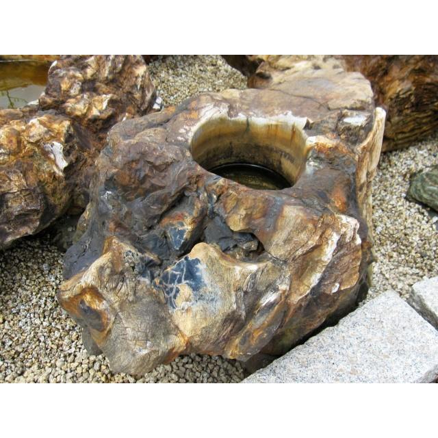 つくばい 珪化木 木化石 手水鉢 水鉢 大きい 庭石 天然石 溜まり石 木