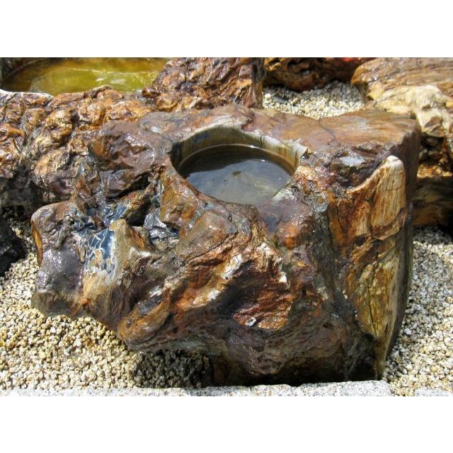 つくばい 珪化木 木化石 手水鉢 水鉢 大きい 庭石 天然石 溜まり石 木