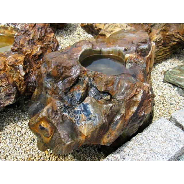つくばい 珪化木 木化石 手水鉢 水鉢 大きい 庭石 天然石 溜まり石 木